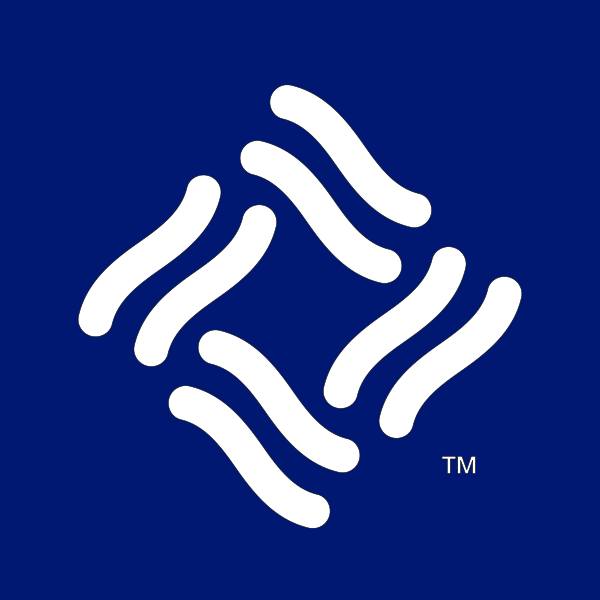 336031269 532027258955022 4358703707403782119 n