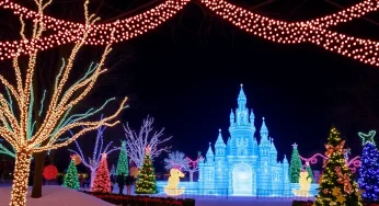Asheville’s 11th Annual Winter Lights Delight
