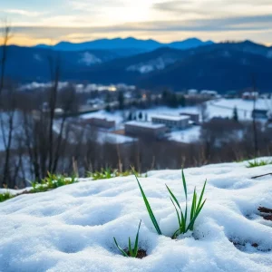 A winter landscape in Asheville with melting snow and emerging greenery.
