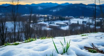 Asheville Residents Celebrate End of Cold Snap