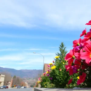 Scenic view of a sunny Asheville, NC in February with blooming flowers.
