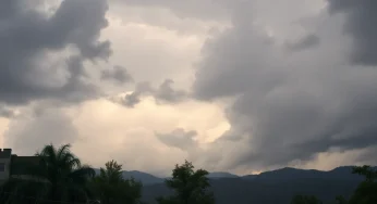 Winds of Change in Asheville: March 2025 Brings Unprecedented Storm Chaos