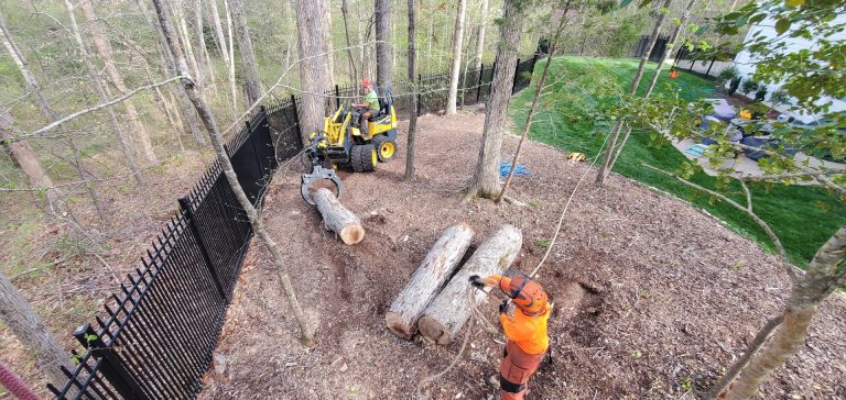 20220412 171200 768x364