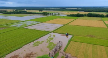 Hurricane Helene Hits Small Farms in Western North Carolina