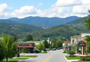 Landscape of Weaverville, North Carolina showcasing art galleries and mountains