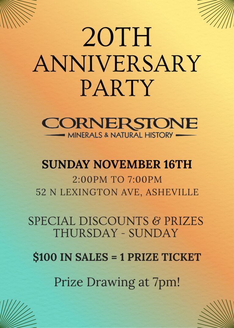 20th anniversary party 768x1076