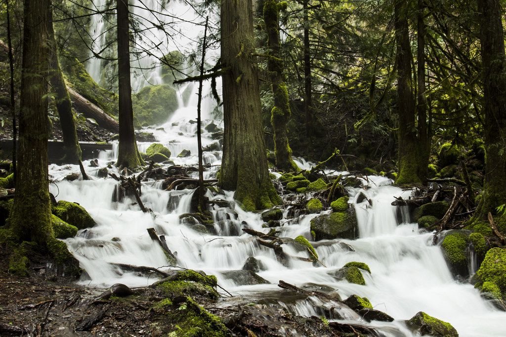 Creek flowing through rocks beside wooded banks