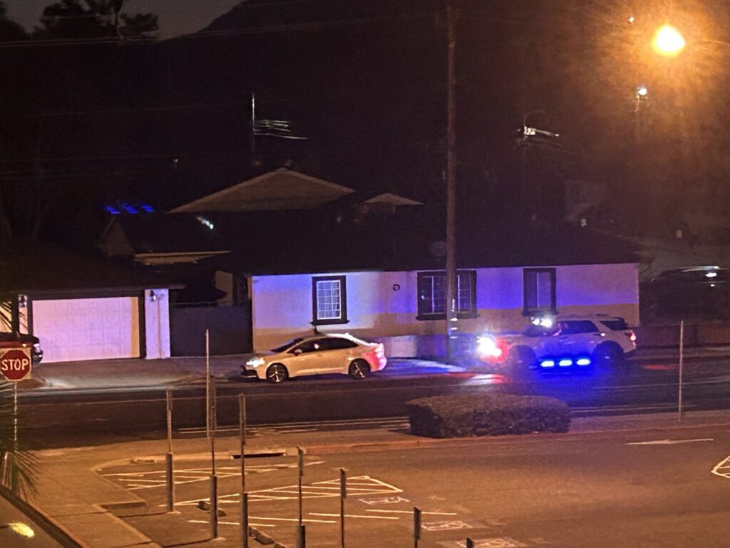 Police car with lights on during a night traffic stop