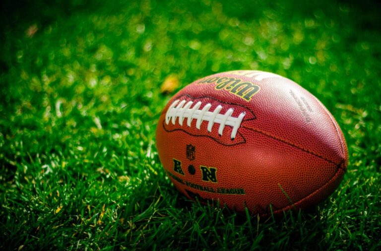 Raleigh, N.C.: NC State falls to Wake Forest 38-14