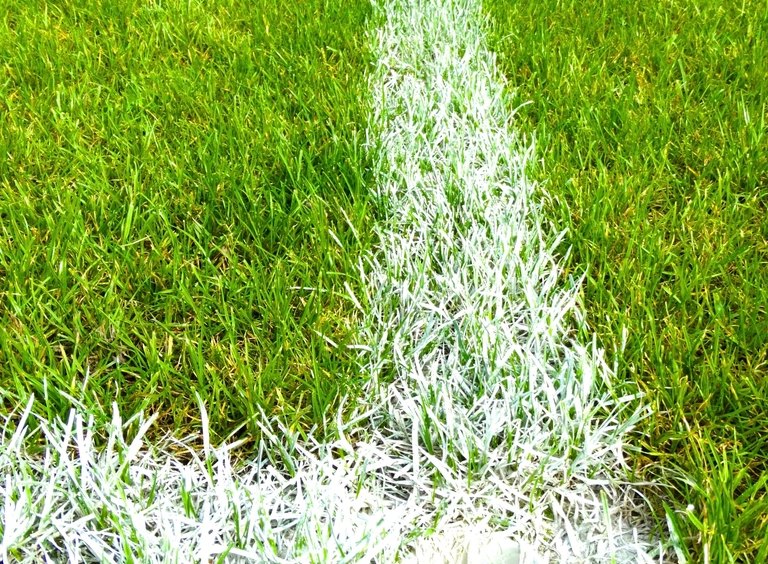 White yard line on green turf