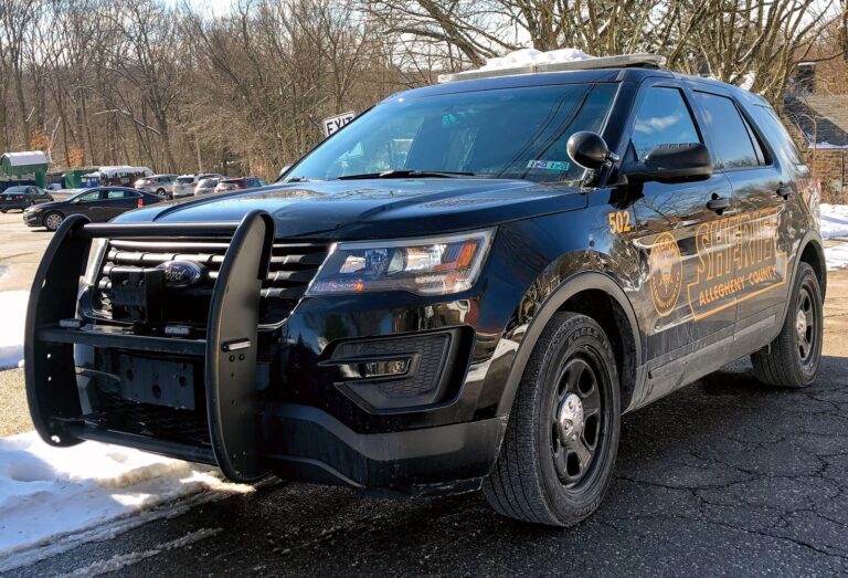 Two Men Found Shot to Death in Arden; Sheriff Seeks Shooter